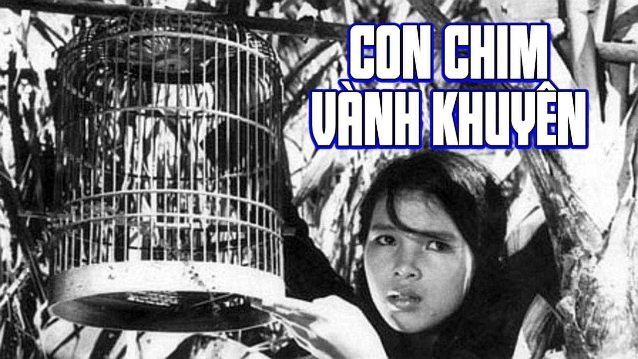 Con Chim Vành Khuyên
